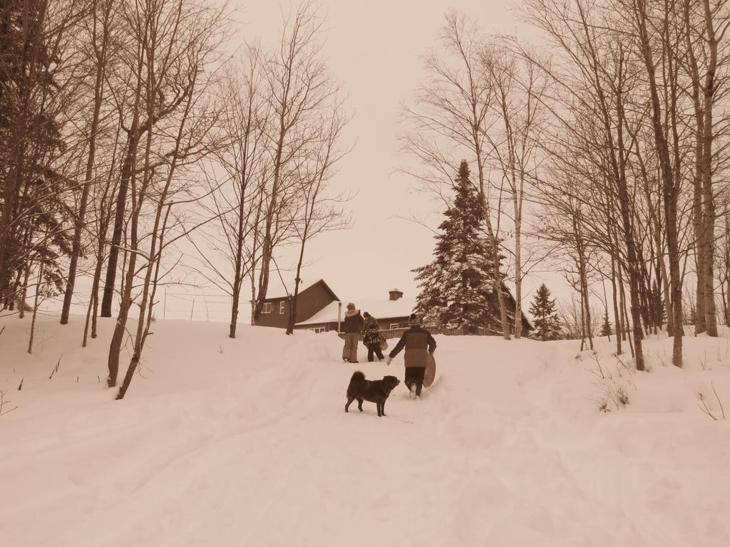Le Gite Ambrelane Thetford Mines Exterior photo