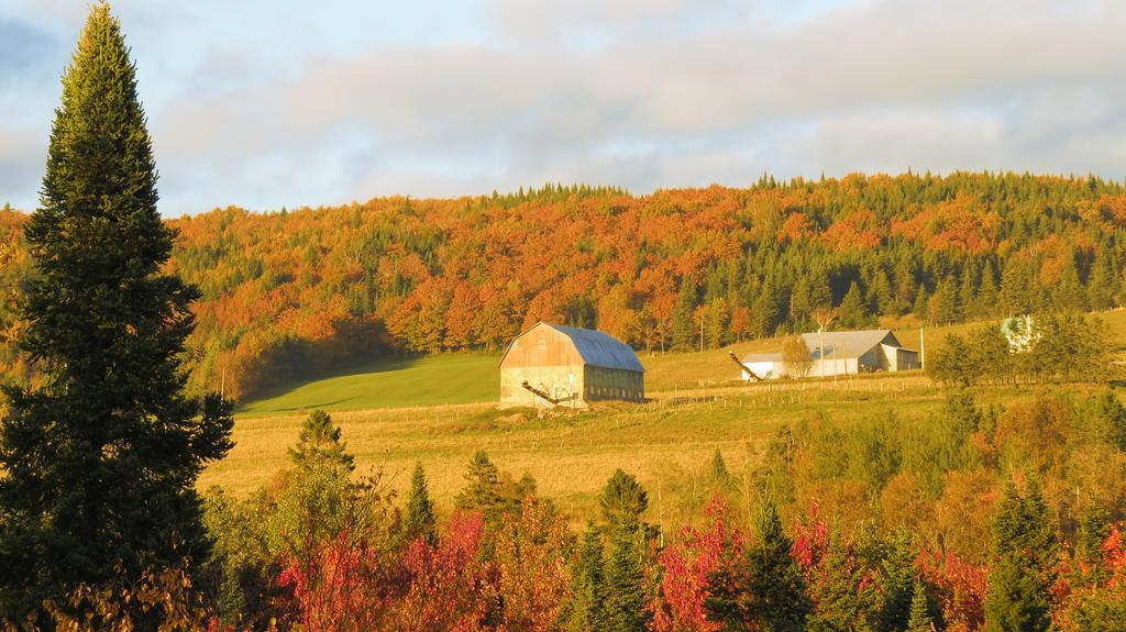 Le Gite Ambrelane Thetford Mines Exterior photo